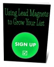Using Lead Magnets To Grow Your List